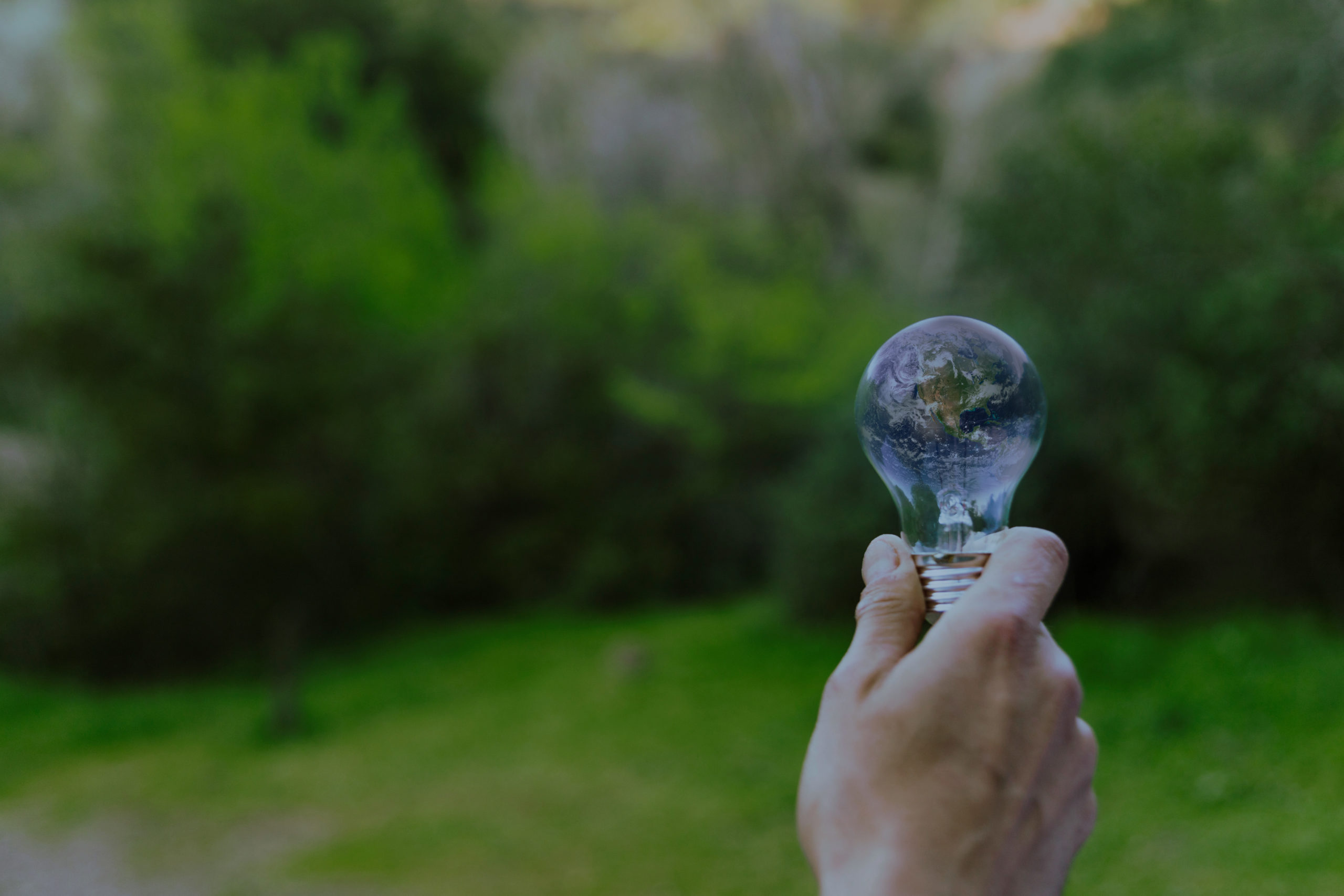 ¿Sabes cómo ganar dinero con tus ahorros energéticos? Descubre el sistema CAE