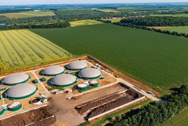 diferencias biogas y biometano