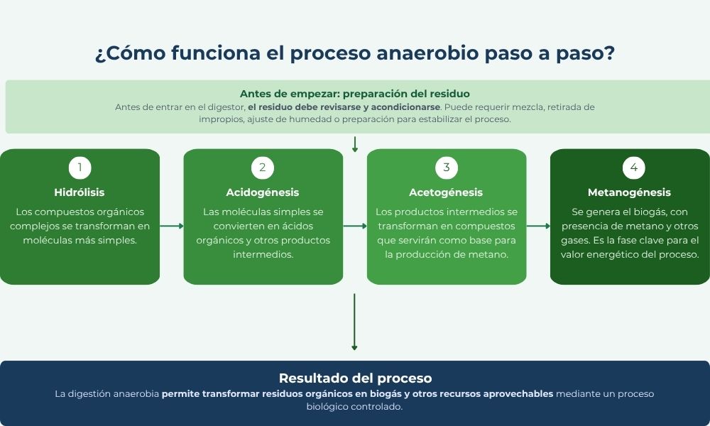 etapas de la digestion anaerobia