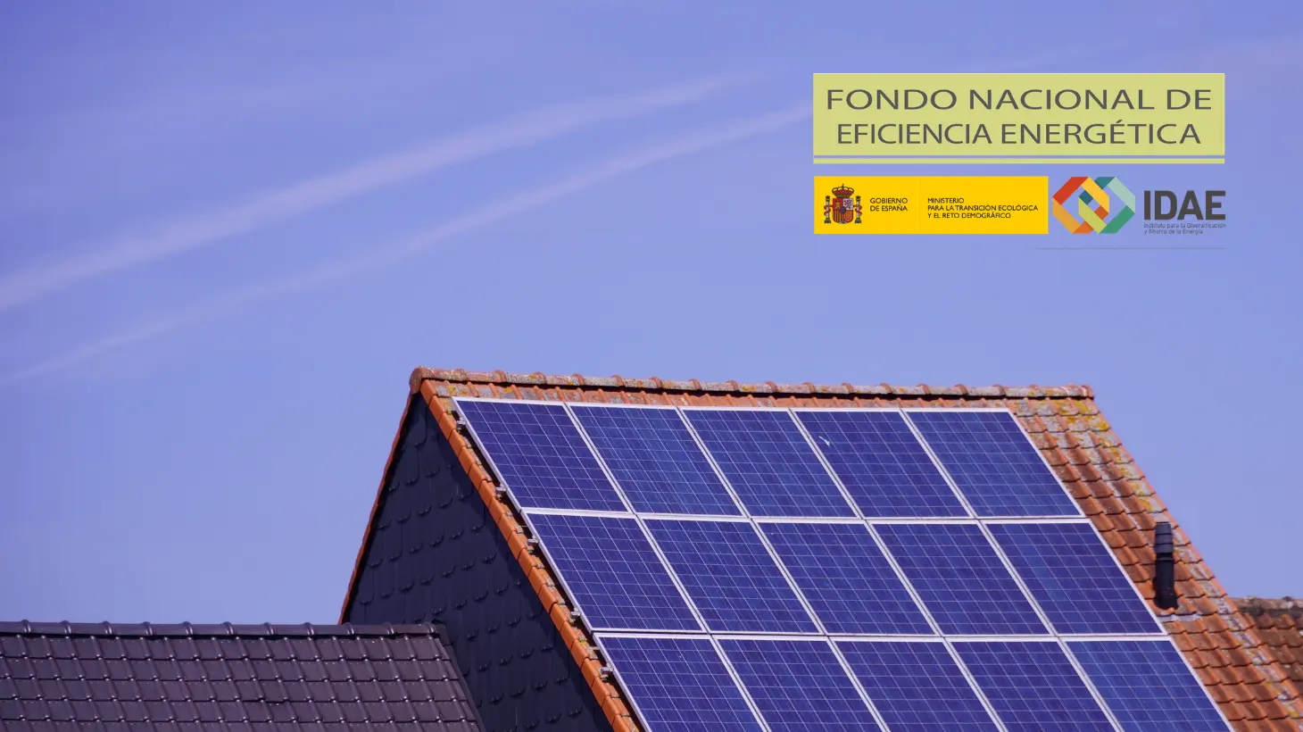 FNEE: ¿Qué es? Beneficios para tu empresa actualmente